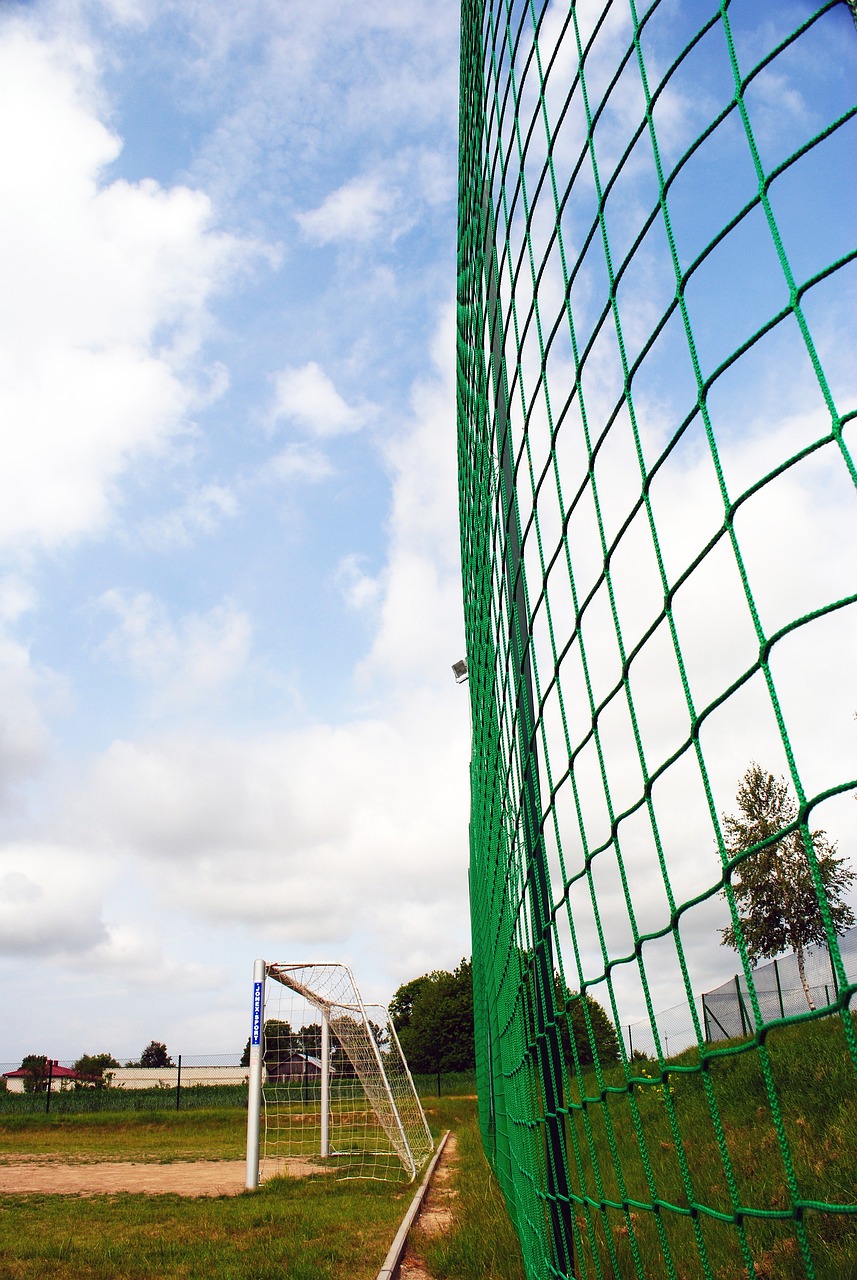 中游刃有余 中游刃有余