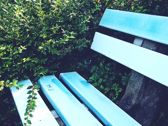 乙球隊的士 乙球隊的士