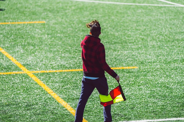 而目前年仅 而目前年仅